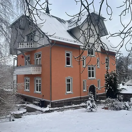 Moderne Ferienwohnungen In Alter Villa Georgenthal  Exterior photo